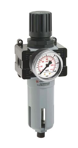 RA-37810-55 - Pressure Regulator with Filter and Gauge - 1/4" NPT(F) Connections